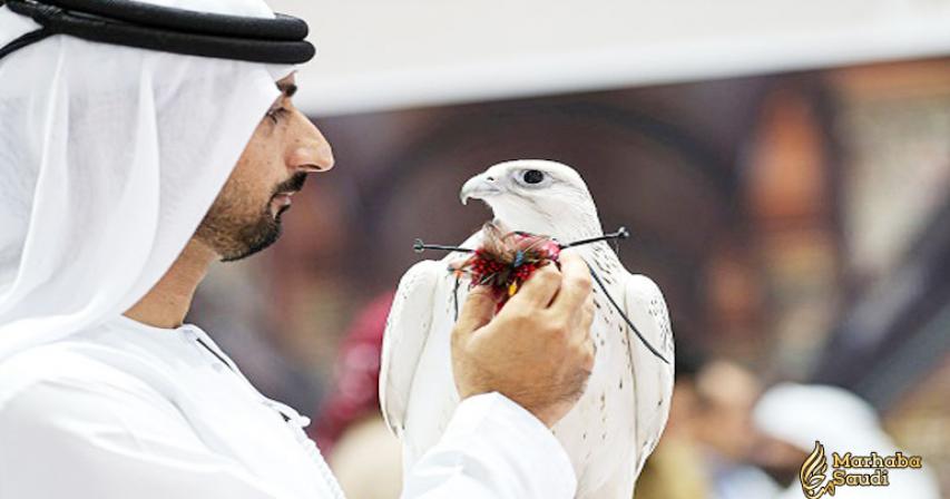 Abu Dhabi International Hunting and Equestrian Exhibition Gets Ready to Launch with the Appearance of the Canopus Star